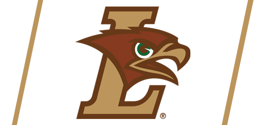 Brown and White Football Camps
